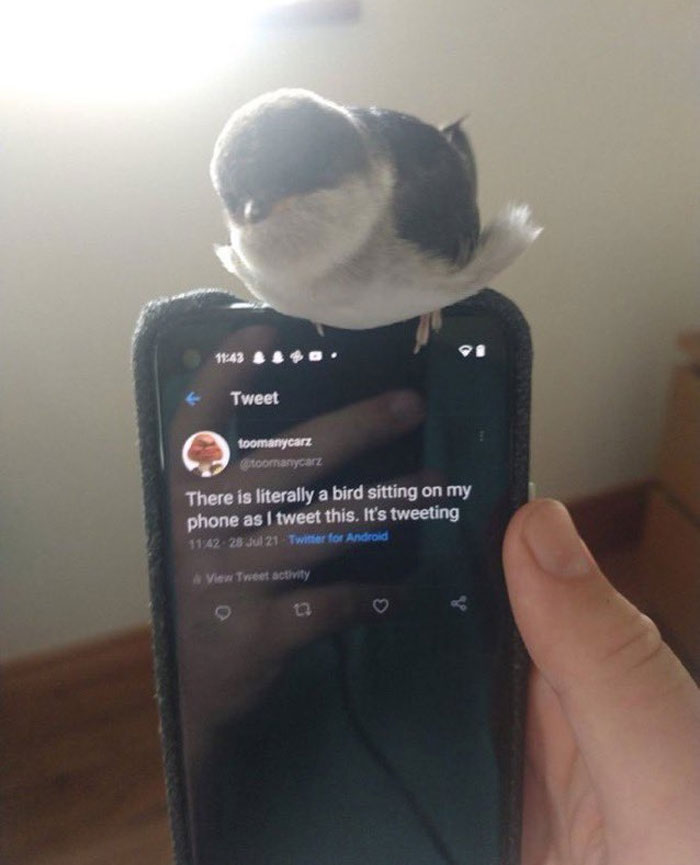 50 Hilarious Memes Shared Every Hour By This Twitter Account 50 Hilarious Memes Shared Every Hour By This Twitter Account