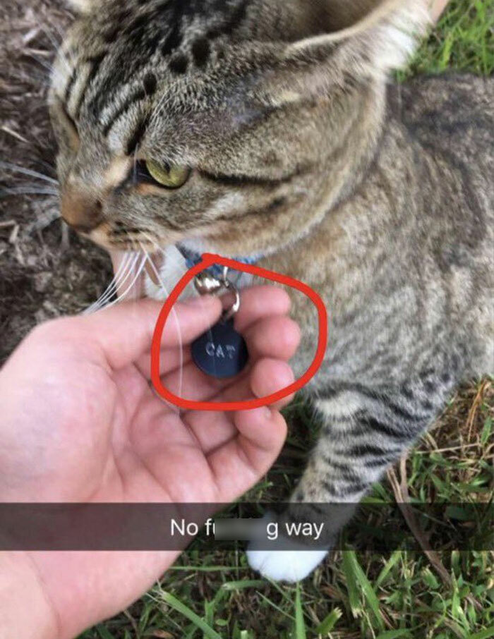 50 Hilarious Memes Shared Every Hour By This Twitter Account 50 Hilarious Memes Shared Every Hour By This Twitter Account