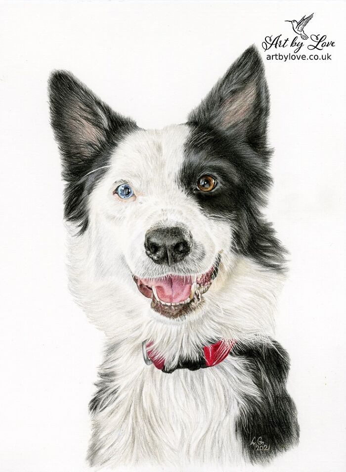 I Specialize In Pet Art, And Here Are 5 Of My Drawings Of Dogs