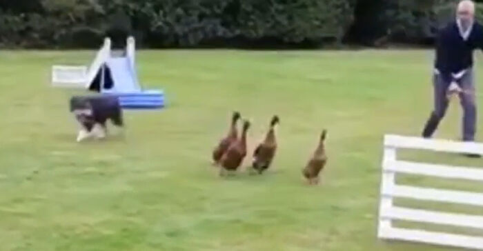 50 Weird Hobbies People Enjoy In Their Spare Time 50 Weird Hobbies People Enjoy In Their Spare Time