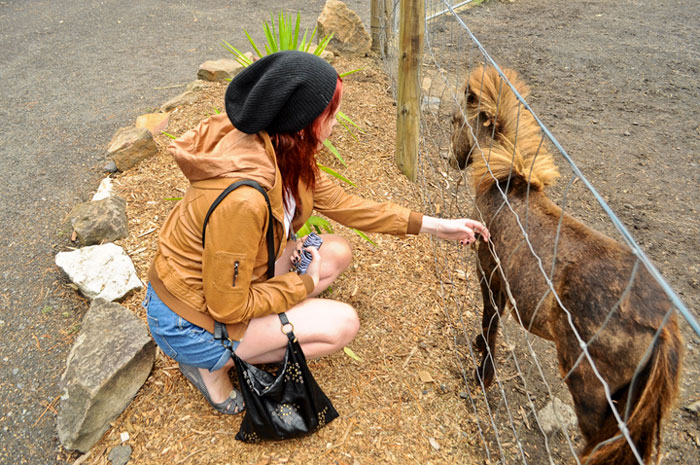Man Is Completely In Love With His Roommate But Is Afraid To Do Anything, The Internet Convinces Him To Confess, He Listens And Gets A Happy Ending