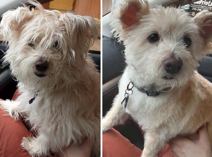 Hey Pandas, Let’s See Your Fun Before And After ‘Stories’ (Closed) Hey Pandas, Let’s See Your Fun Before And After ‘Stories’ (Closed)