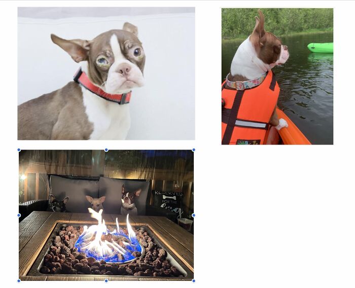 Hey Pandas, Let’s See Your Fun Before And After ‘Stories’ (Closed) Hey Pandas, Let’s See Your Fun Before And After ‘Stories’ (Closed)