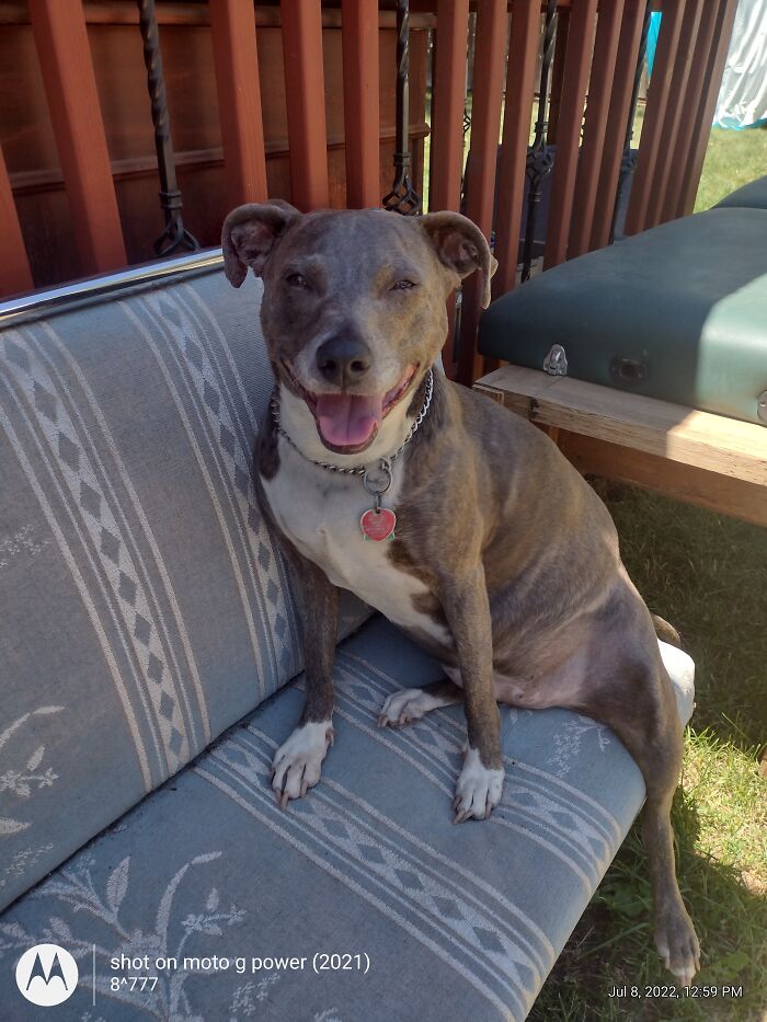 Hey Pandas, Let’s See Your Fun Before And After ‘Stories’ (Closed) Hey Pandas, Let’s See Your Fun Before And After ‘Stories’ (Closed)