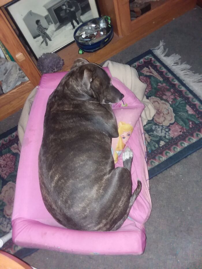 Hey Pandas, Let’s See Your Fun Before And After ‘Stories’ (Closed) Hey Pandas, Let’s See Your Fun Before And After ‘Stories’ (Closed)