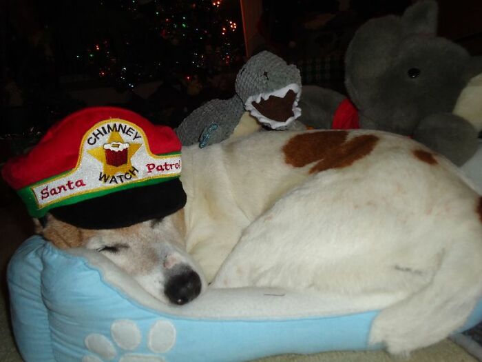 Hey Pandas, Let’s See Your Fun Before And After ‘Stories’ (Closed) Hey Pandas, Let’s See Your Fun Before And After ‘Stories’ (Closed)