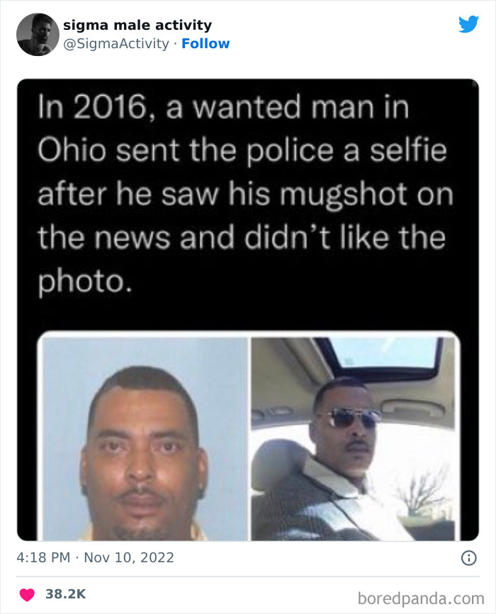 50 Examples Of “Sigma Males” Shared By This Twitter Account 50 Examples Of “Sigma Males” Shared By This Twitter Account