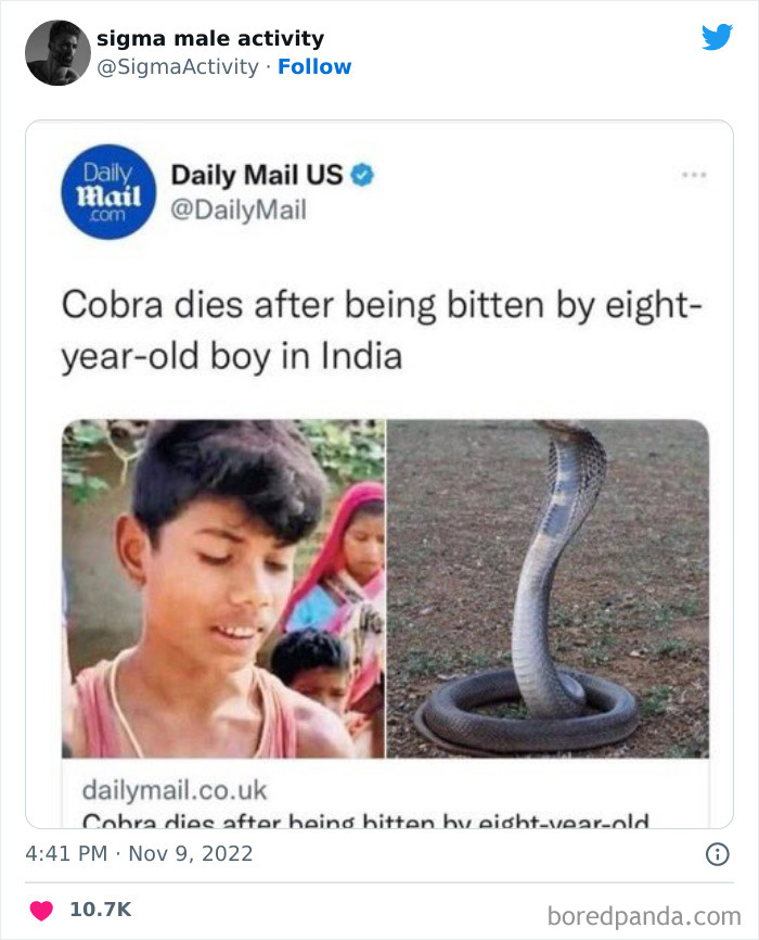 50 Examples Of “Sigma Males” Shared By This Twitter Account 50 Examples Of “Sigma Males” Shared By This Twitter Account