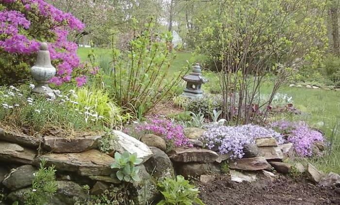 Hey Pandas, Show Us A Photo Of A Flower In Your Garden (Closed) Hey Pandas, Show Us A Photo Of A Flower In Your Garden (Closed)