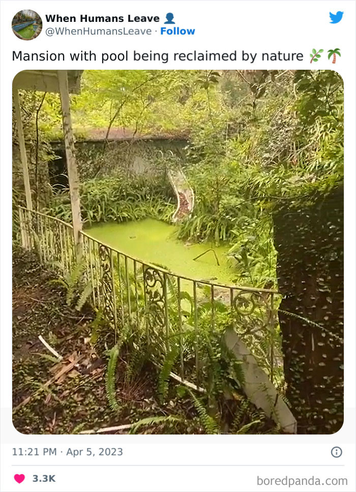 “When Humans Leave, Nature Starts To Take Back”: 35 Abandoned Places Lost In Time “When Humans Leave, Nature Starts To Take Back”: 35 Abandoned Places Lost In Time