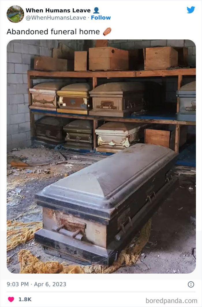 “When Humans Leave, Nature Starts To Take Back”: 35 Abandoned Places Lost In Time “When Humans Leave, Nature Starts To Take Back”: 35 Abandoned Places Lost In Time