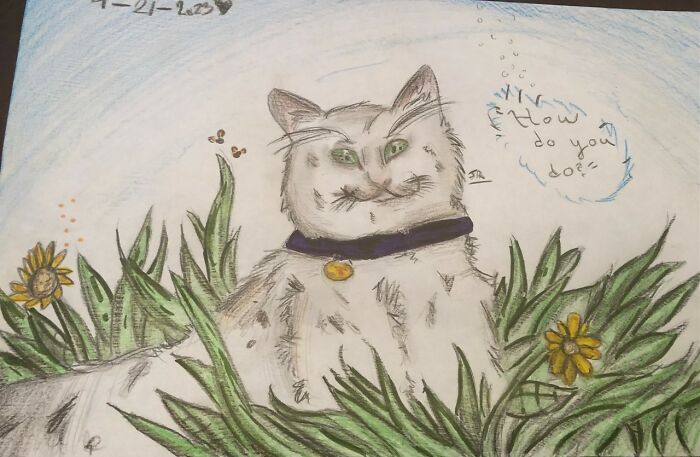 Hey Pandas, Show Us Some Cat Drawings