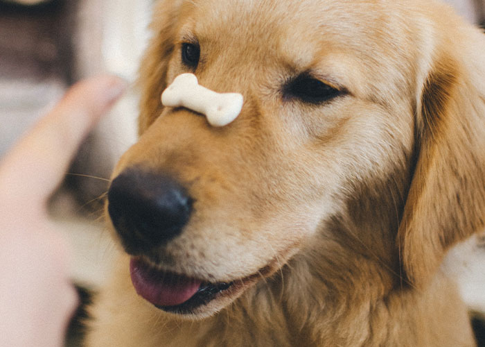 “What Is Something That Is Super Cheap, But Vastly Improves Your Quality Of Life?” (30 Answers) “What Is Something That Is Super Cheap, But Vastly Improves Your Quality Of Life?” (30 Answers)