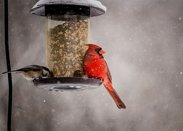 “What Is Something That Is Super Cheap, But Vastly Improves Your Quality Of Life?” (30 Answers) “What Is Something That Is Super Cheap, But Vastly Improves Your Quality Of Life?” (30 Answers)