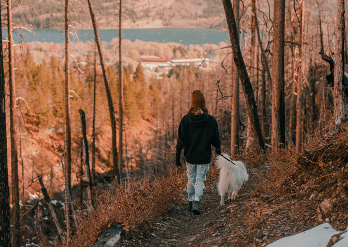 “She Never Barks And Is The Best Hiking Buddy Ever”: Guy Has Had His Friend’s Dog For 2.5 Years When Friend Asks Him To Ship Her Back, Guy Refuses “She Never Barks And Is The Best Hiking Buddy Ever”: Guy Has Had His Friend’s Dog For 2.5 Years When Friend Asks Him To Ship Her Back, Guy Refuses