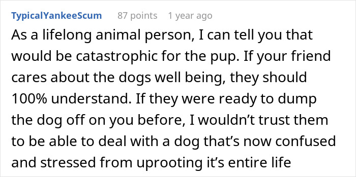 “She Never Barks And Is The Best Hiking Buddy Ever”: Guy Has Had His Friend’s Dog For 2.5 Years When Friend Asks Him To Ship Her Back, Guy Refuses “She Never Barks And Is The Best Hiking Buddy Ever”: Guy Has Had His Friend’s Dog For 2.5 Years When Friend Asks Him To Ship Her Back, Guy Refuses