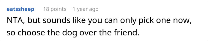 “She Never Barks And Is The Best Hiking Buddy Ever”: Guy Has Had His Friend’s Dog For 2.5 Years When Friend Asks Him To Ship Her Back, Guy Refuses “She Never Barks And Is The Best Hiking Buddy Ever”: Guy Has Had His Friend’s Dog For 2.5 Years When Friend Asks Him To Ship Her Back, Guy Refuses