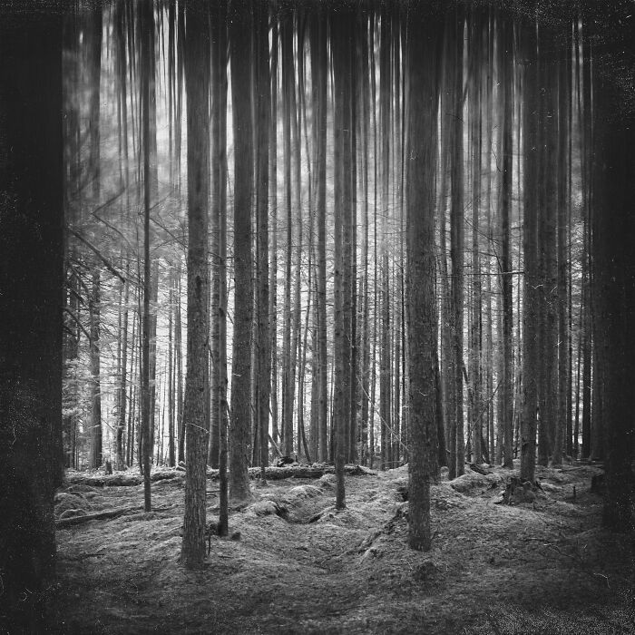 A Visual Exploration Of Narcissistic Abuse And Recovery (15 Photos) A Visual Exploration Of Narcissistic Abuse And Recovery (15 Photos)