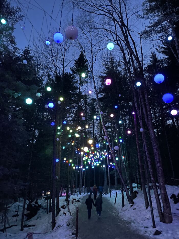 Here Is A Small Collection Of The Photographs I Took