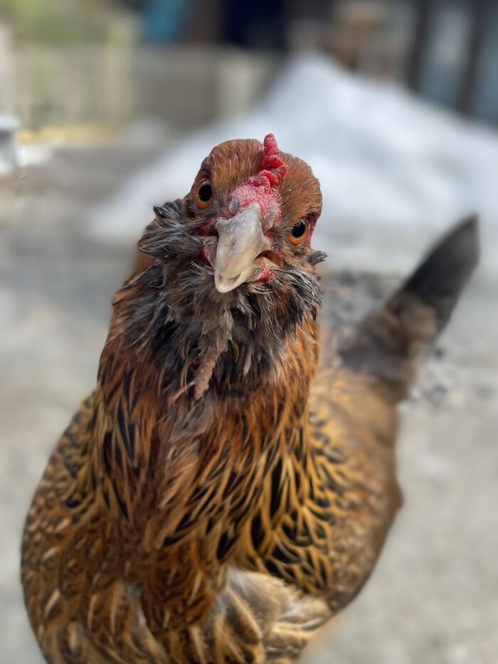 Here Is A Small Collection Of The Photographs I Took