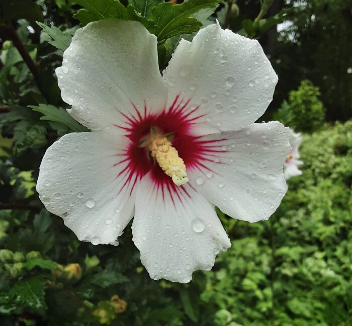 Here Is A Small Collection Of The Photographs I Took