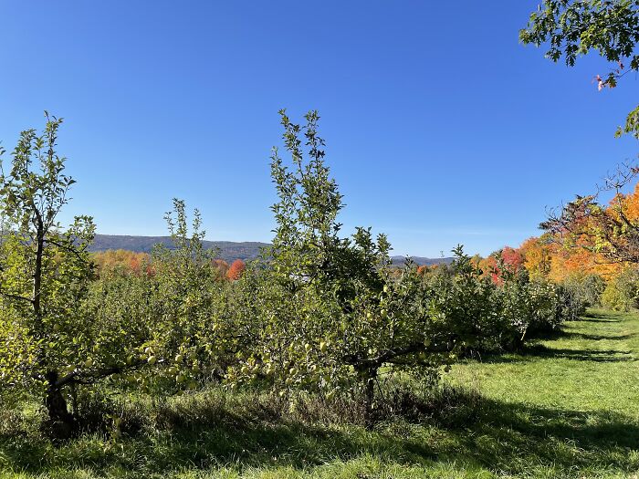 Here Is A Small Collection Of The Photographs I Took