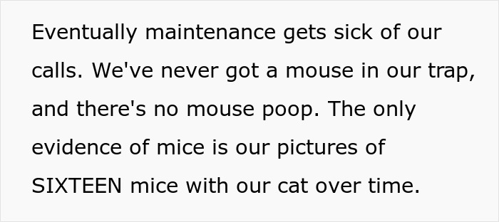 Maintenance Asks Tenant To Provide “Proof” Of Mouse Infestation By Bringing What They Catch To The Main Office, They Maliciously Comply