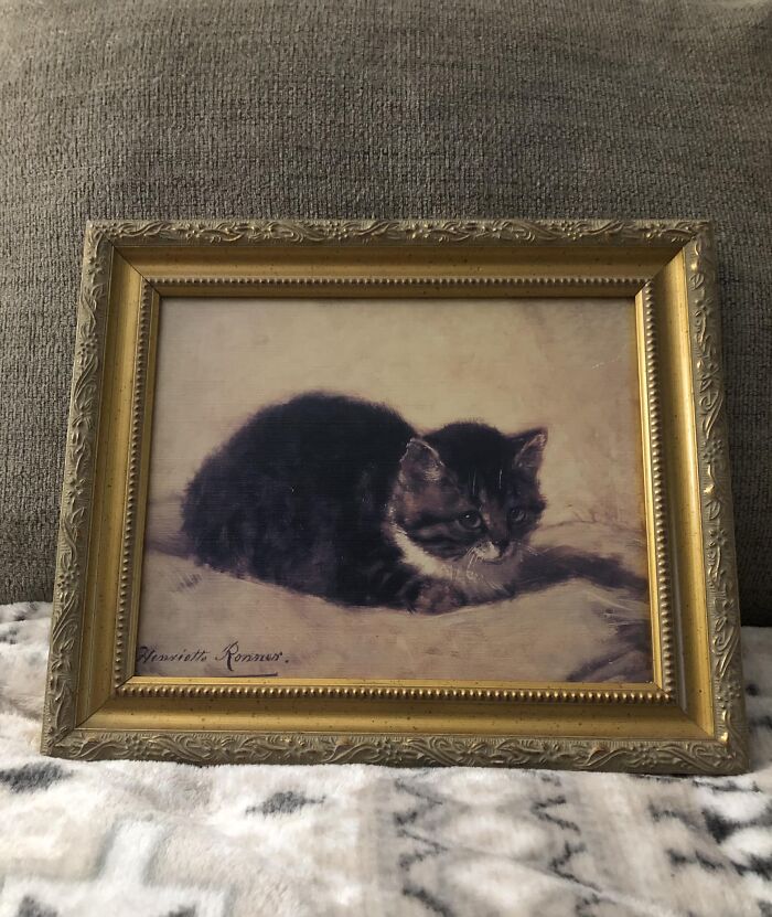 People Are Sharing The Weirdest And Coolest Things They&#8217;ve Scored While Thrifting (New Pics)