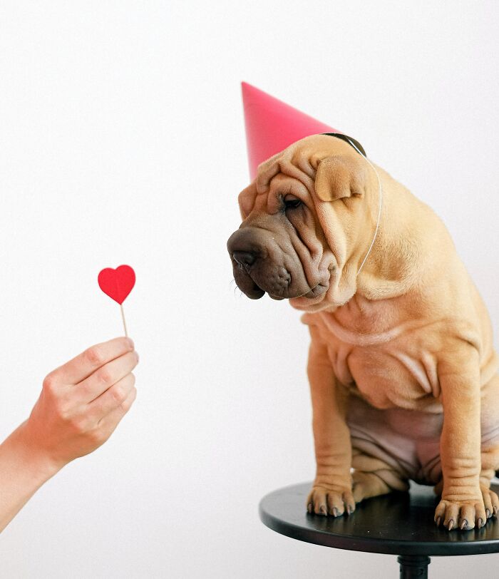 35 Examples Of Things Banned Around The World To Help You Avoid Awkward Situations While Traveling 35 Examples Of Things Banned Around The World To Help You Avoid Awkward Situations While Traveling