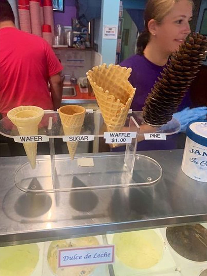 50 Things In Places They Shouldn’t Be That Are Both Hilarious And Concerning (New Pics) 50 Things In Places They Shouldn’t Be That Are Both Hilarious And Concerning (New Pics)