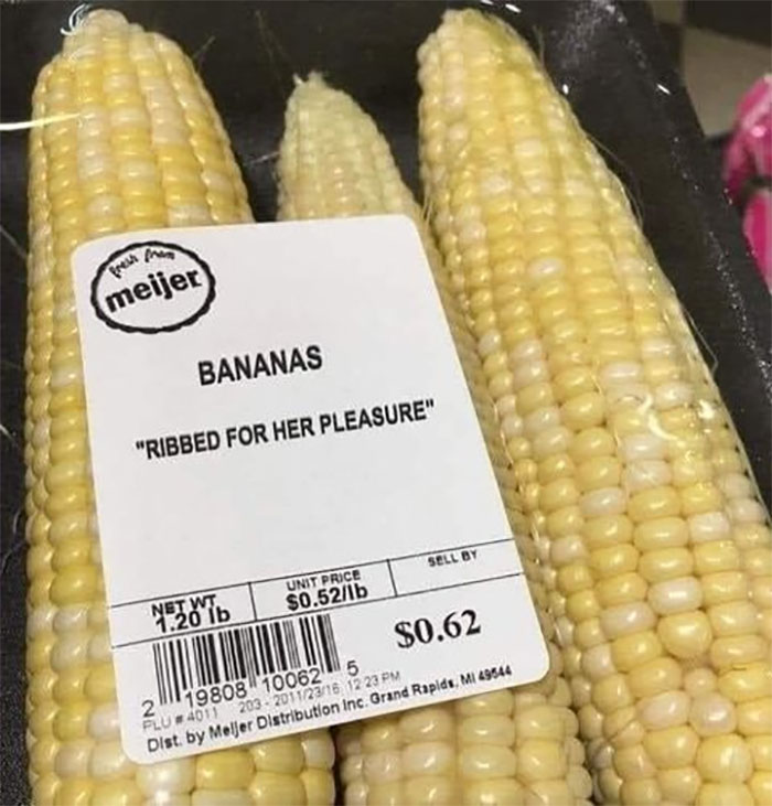 50 Things In Places They Shouldn’t Be That Are Both Hilarious And Concerning (New Pics) 50 Things In Places They Shouldn’t Be That Are Both Hilarious And Concerning (New Pics)