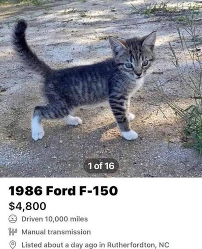 50 Things In Places They Shouldn’t Be That Are Both Hilarious And Concerning (New Pics) 50 Things In Places They Shouldn’t Be That Are Both Hilarious And Concerning (New Pics)