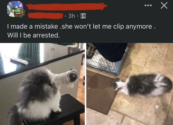 50 Of The Most ‘Blursed’ Images That Are As Blessed As They’re Cursed