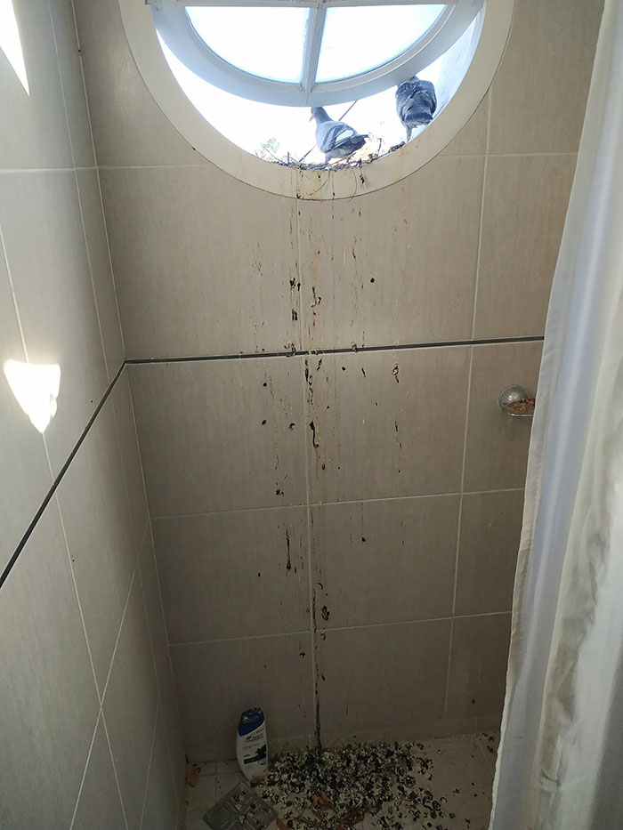 50 People Having A Terrible Day (New Pics) 50 People Having A Terrible Day (New Pics)