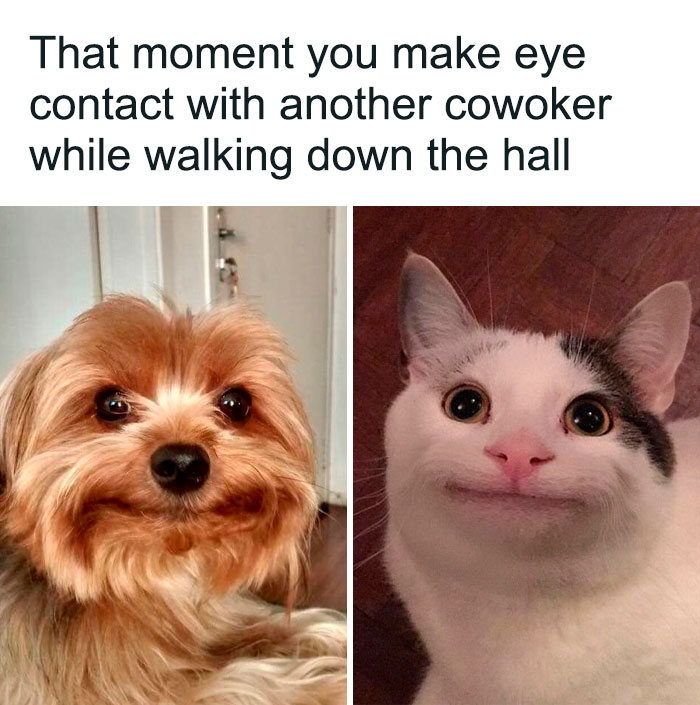 45 Funny Workplace Memes That Are Spot-On, Shared By This Instagram Account