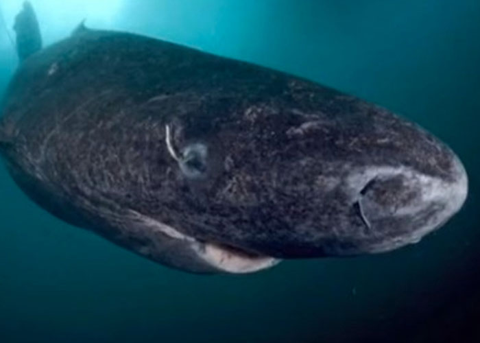 “You May Be Living In The Last Year Of Your Life”: 40 Disturbing Facts That You Might Be Better Off Not Knowing “You May Be Living In The Last Year Of Your Life”: 40 Disturbing Facts That You Might Be Better Off Not Knowing