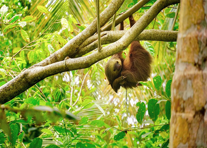 “You May Be Living In The Last Year Of Your Life”: 40 Disturbing Facts That You Might Be Better Off Not Knowing “You May Be Living In The Last Year Of Your Life”: 40 Disturbing Facts That You Might Be Better Off Not Knowing