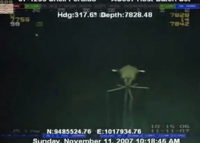 “You May Be Living In The Last Year Of Your Life”: 40 Disturbing Facts That You Might Be Better Off Not Knowing “You May Be Living In The Last Year Of Your Life”: 40 Disturbing Facts That You Might Be Better Off Not Knowing