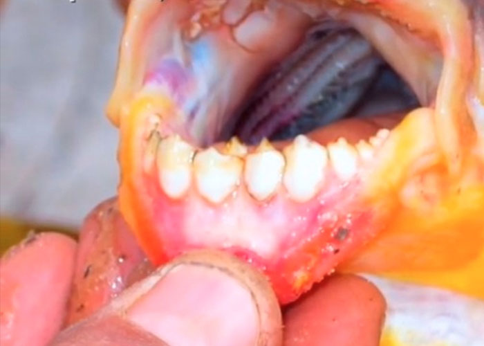 “You May Be Living In The Last Year Of Your Life”: 40 Disturbing Facts That You Might Be Better Off Not Knowing “You May Be Living In The Last Year Of Your Life”: 40 Disturbing Facts That You Might Be Better Off Not Knowing