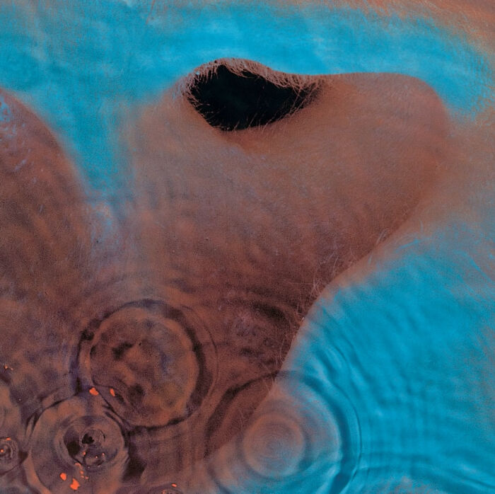 78 Of The Most Perfect Songs, As Deemed By People On The Internet 78 Of The Most Perfect Songs, As Deemed By People On The Internet