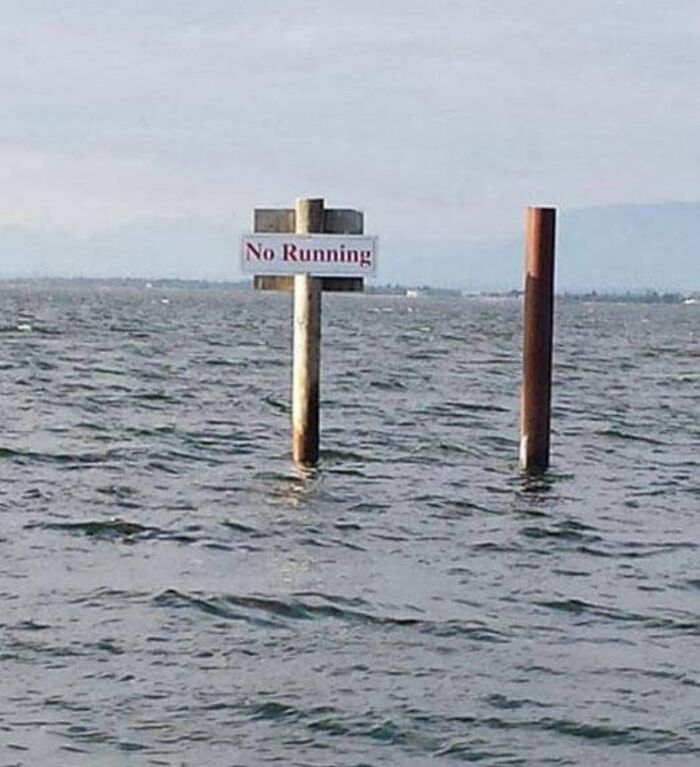 50 Silly, Funny, Dumb and Stupid Signs That People Have Shared In This Online Group 50 Silly, Funny, Dumb and Stupid Signs That People Have Shared In This Online Group