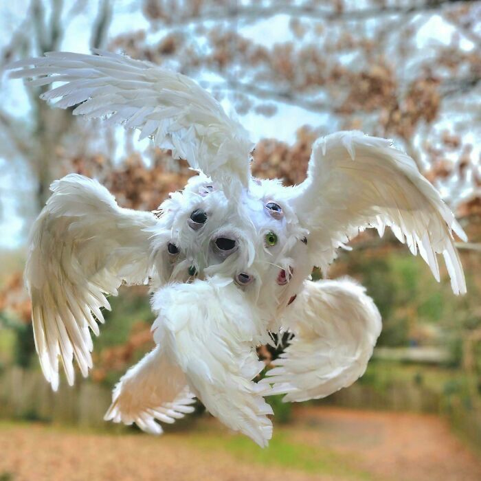 30 Pics That Might Make You Uncomfortable And Might Even Scare You 30 Pics That Might Make You Uncomfortable And Might Even Scare You