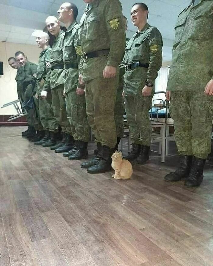 50 Times People Saw Something That Made Them Go ‘Hmmm’ And Just Had To Share It Online (New Pics) 50 Times People Saw Something That Made Them Go ‘Hmmm’ And Just Had To Share It Online (New Pics)