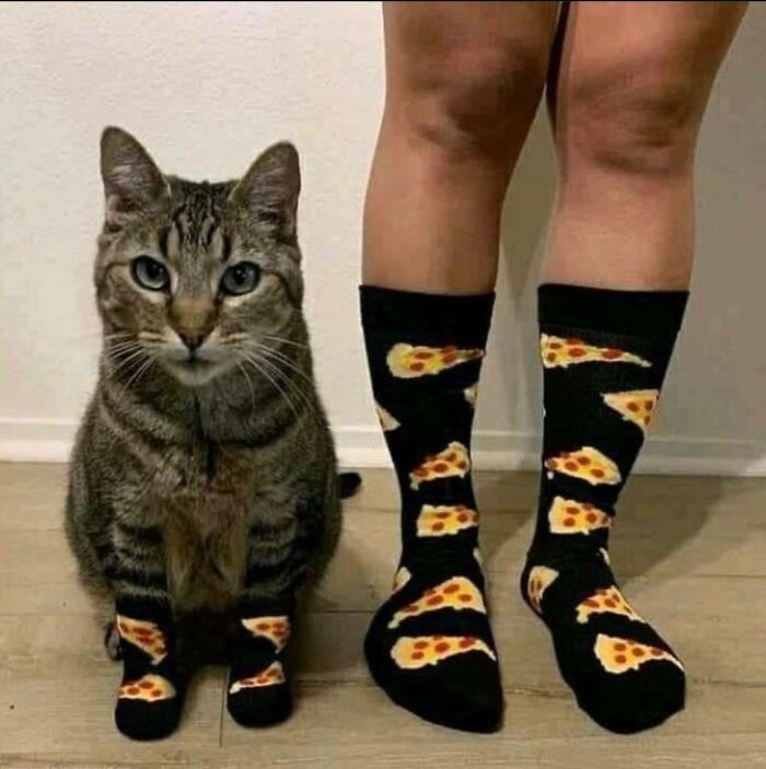 50 Times People Saw Something That Made Them Go ‘Hmmm’ And Just Had To Share It Online (New Pics) 50 Times People Saw Something That Made Them Go ‘Hmmm’ And Just Had To Share It Online (New Pics)