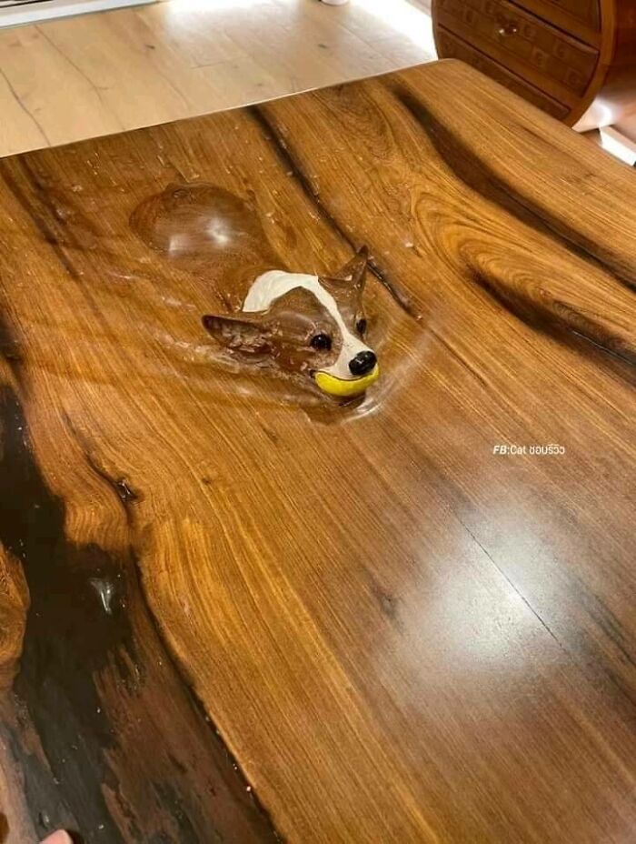 50 Times People Saw Something That Made Them Go ‘Hmmm’ And Just Had To Share It Online (New Pics) 50 Times People Saw Something That Made Them Go ‘Hmmm’ And Just Had To Share It Online (New Pics)