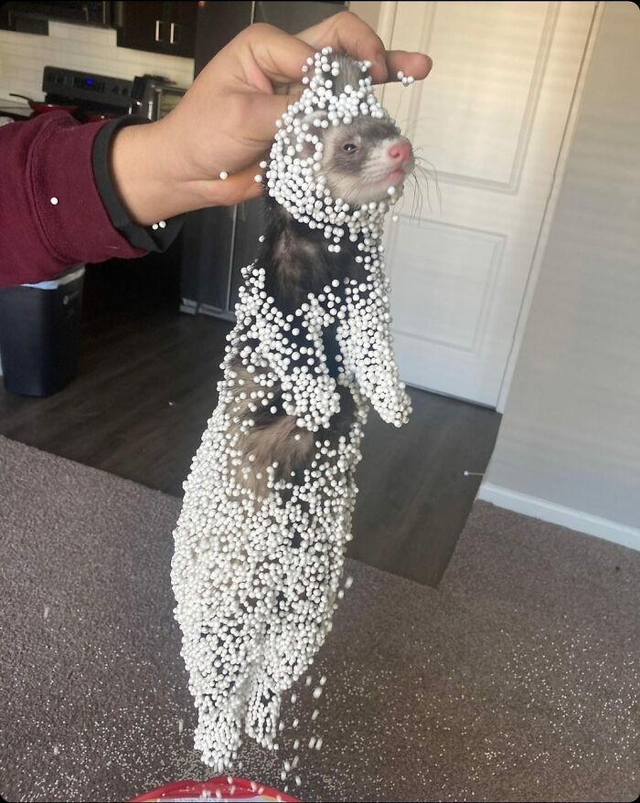 50 Times People Saw Something That Made Them Go ‘Hmmm’ And Just Had To Share It Online (New Pics) 50 Times People Saw Something That Made Them Go ‘Hmmm’ And Just Had To Share It Online (New Pics)