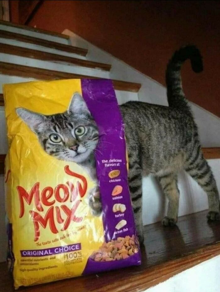 50 Times People Saw Something That Made Them Go ‘Hmmm’ And Just Had To Share It Online (New Pics) 50 Times People Saw Something That Made Them Go ‘Hmmm’ And Just Had To Share It Online (New Pics)