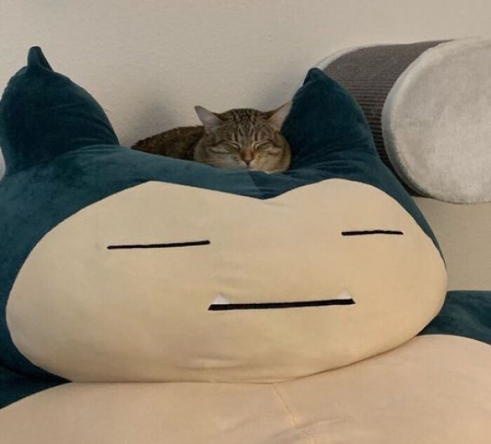 50 Times People Saw Something That Made Them Go ‘Hmmm’ And Just Had To Share It Online (New Pics) 50 Times People Saw Something That Made Them Go ‘Hmmm’ And Just Had To Share It Online (New Pics)