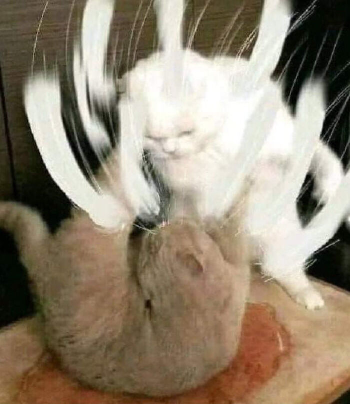 50 Times People Saw Something That Made Them Go ‘Hmmm’ And Just Had To Share It Online (New Pics) 50 Times People Saw Something That Made Them Go ‘Hmmm’ And Just Had To Share It Online (New Pics)