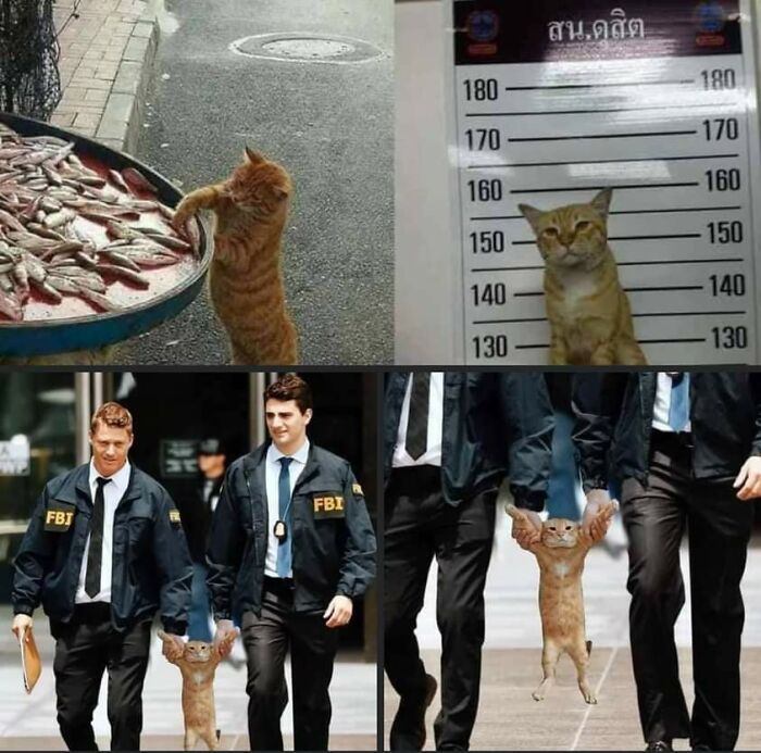 50 Times People Saw Something That Made Them Go ‘Hmmm’ And Just Had To Share It Online (New Pics) 50 Times People Saw Something That Made Them Go ‘Hmmm’ And Just Had To Share It Online (New Pics)